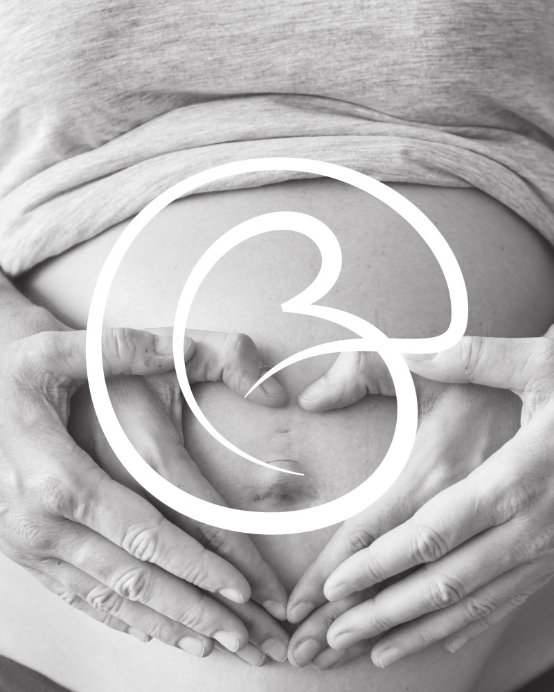 Logo desenvolvida pelo Limone Estúdio Criativo para a Dra. Raiene Barbosa, Ginecologista e Obstetra em Brasília, na Clínica Nascer.